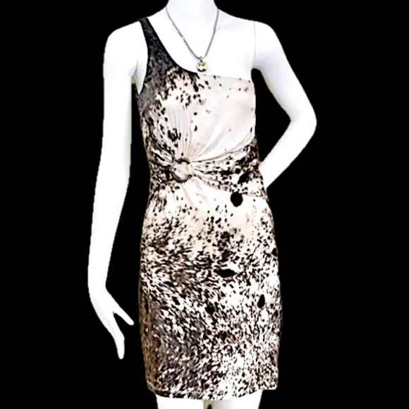 🇮🇹 2000s Collection  ROBERTO CAVALLI  Silk Snow Leopard Pattern Dress  size 2 - Picture 5 of 16